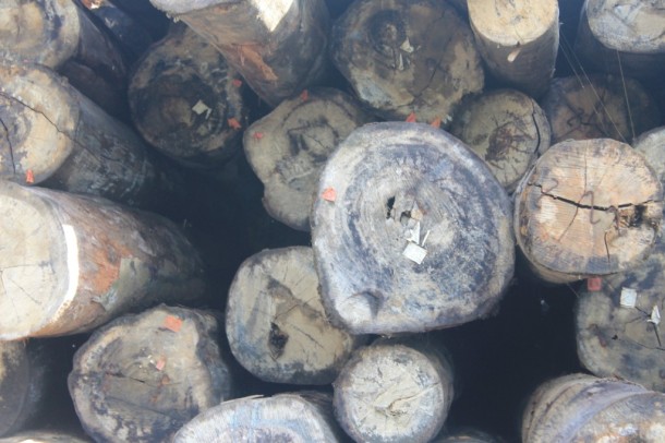 Dokumen Angkutan Kayu yang Berasal dari Hutan Negara Hutan 